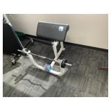 Preacher Curl Bench