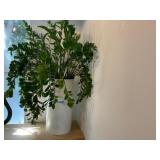 Plants