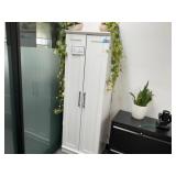 Storage Cabinet with Contents
