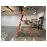 Werner 8Ft Ladder