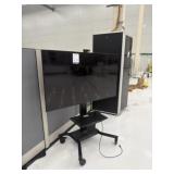 Display Monitor with Mobile Stand
