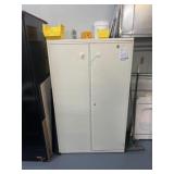 Storage Cabinet with Contents
