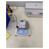 Precision Bench Scale