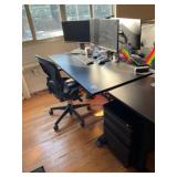 Adjustable Height Desk, Herman Miller Chair & Moni
