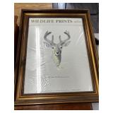 Framed White Tailed Buck Picture ~20 x 25