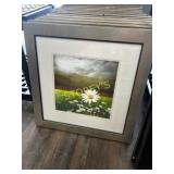 Framed Daisy Picture ~22" sq.