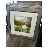 Framed Daisy Picture ~22" sq.