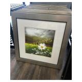 Framed Daisy Picture ~22" sq.