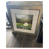 Framed Daisy Picture ~22" sq.