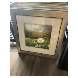 Framed Daisy Picture ~22" sq.