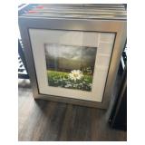 Framed Daisy Picture ~22" sq.
