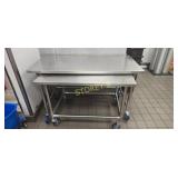S/S Work Table on Wheels ~60 x 30 x 36