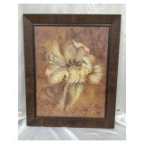 Framed  "White flower" Picture ~27 x 33