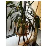 LG Plant w/ Whicker Holder Unit