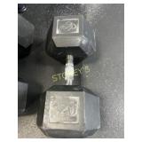 Precor 120lbs Rubber Hex Dumbbell