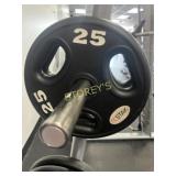 Stak 25lbs Plate Weight