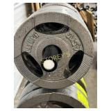 Olympic 10lbs Plate Weight