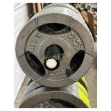 Olympic 10lbs Plate Weight