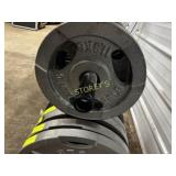 Olympic 25LB Plate Weight