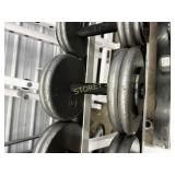 45LB dumbbell