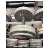 55lb dumbbell