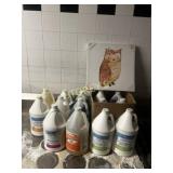 14 Jugs of Asst Detergents & Cleaners