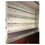 3 Glass Shelves ~100 x 13
