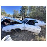 Ford Fairlane parts car-no title  no vin-  as is