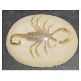 Scorpion paperweight