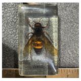 Small Acrylic Paperweight w/ Wasp 2 3/4" Tall