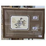 Framed Texas Parks & Wildlife Dept Duck Picture &