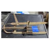 Gopher or mole trap