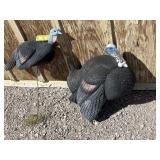 Turkey decoys