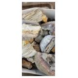 Geodes and petrified rock