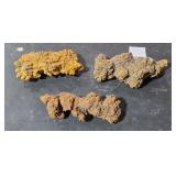 3 Lots Coprolites  Dino Poop   Longest 4 1/2"