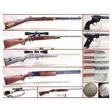 January Firearms, Sporting & Coins
