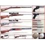 January Firearms, Sporting & Coins