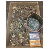Tray Lot Of Assorted Nails, Screws & Bolts