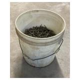Assorted Bucket Lot Of Nails