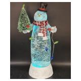 Northlight 11" LED Lighted Color Changing