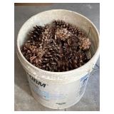 5 Gallon Bucket & Pine Cones