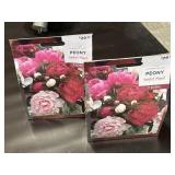 Flower Bulbs Peony Sorbet Mix