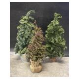 (3) Assorted Christmas Trees Tallest Measuring