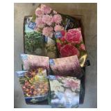 Tray Lot Of Assorted Flower Bulbs Lilly, Peony &