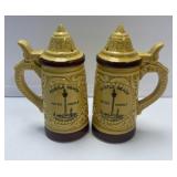 (B) Salt & Pepper Shaker Set as Pictured