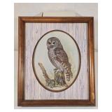 Vintage Framed Owl Print by E. Rainbow 11½"x 13½"