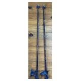 Scott Ski Poles