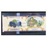 (D) W. E. Sale Ronda, NC Ridge Cliff Blackberries