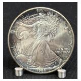 (SC) 1995 Silver American Eagle 1 Oz Fine Silver
