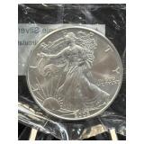 (SC) 2005 American Eagle Silver Dollar 1 Oz Fine